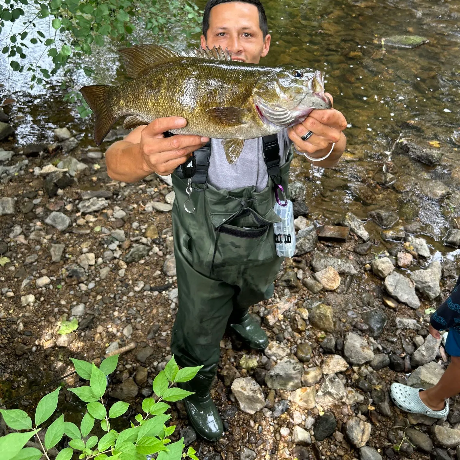 Smallmouth bass caught on Fishbrain
