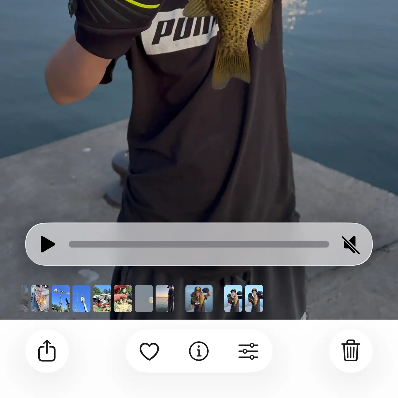 Rock bass caught on Fishbrain