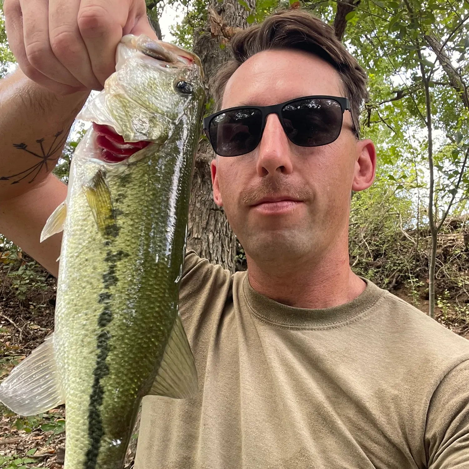 Largemouth bass caught on Fishbrain