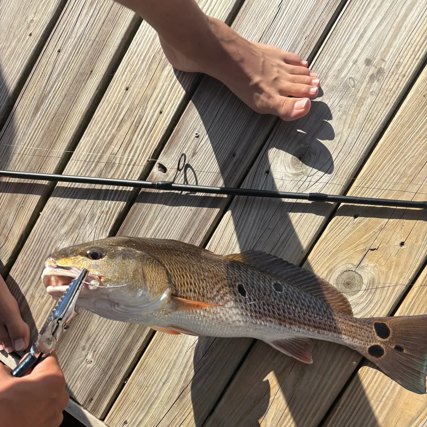 catch