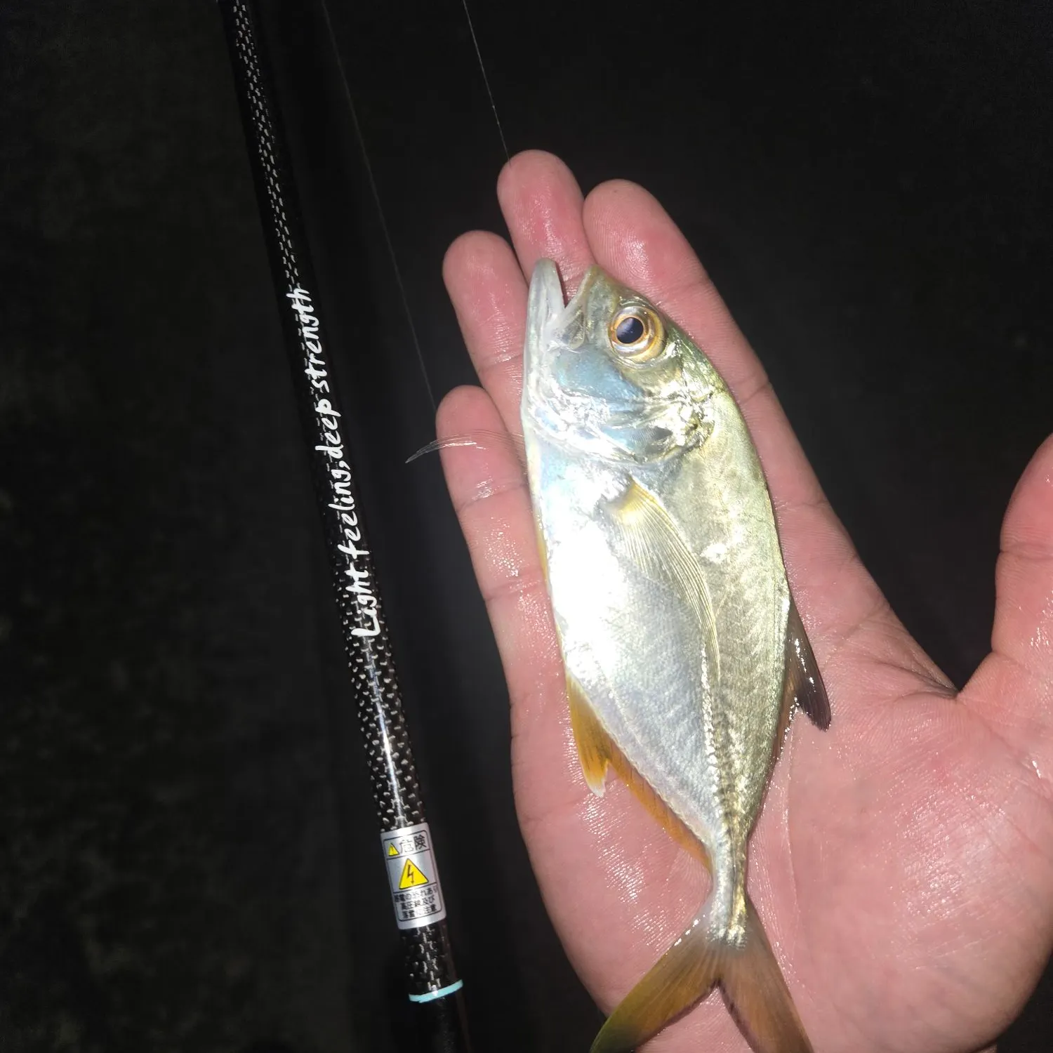 Horse-eye jack caught on Fishbrain