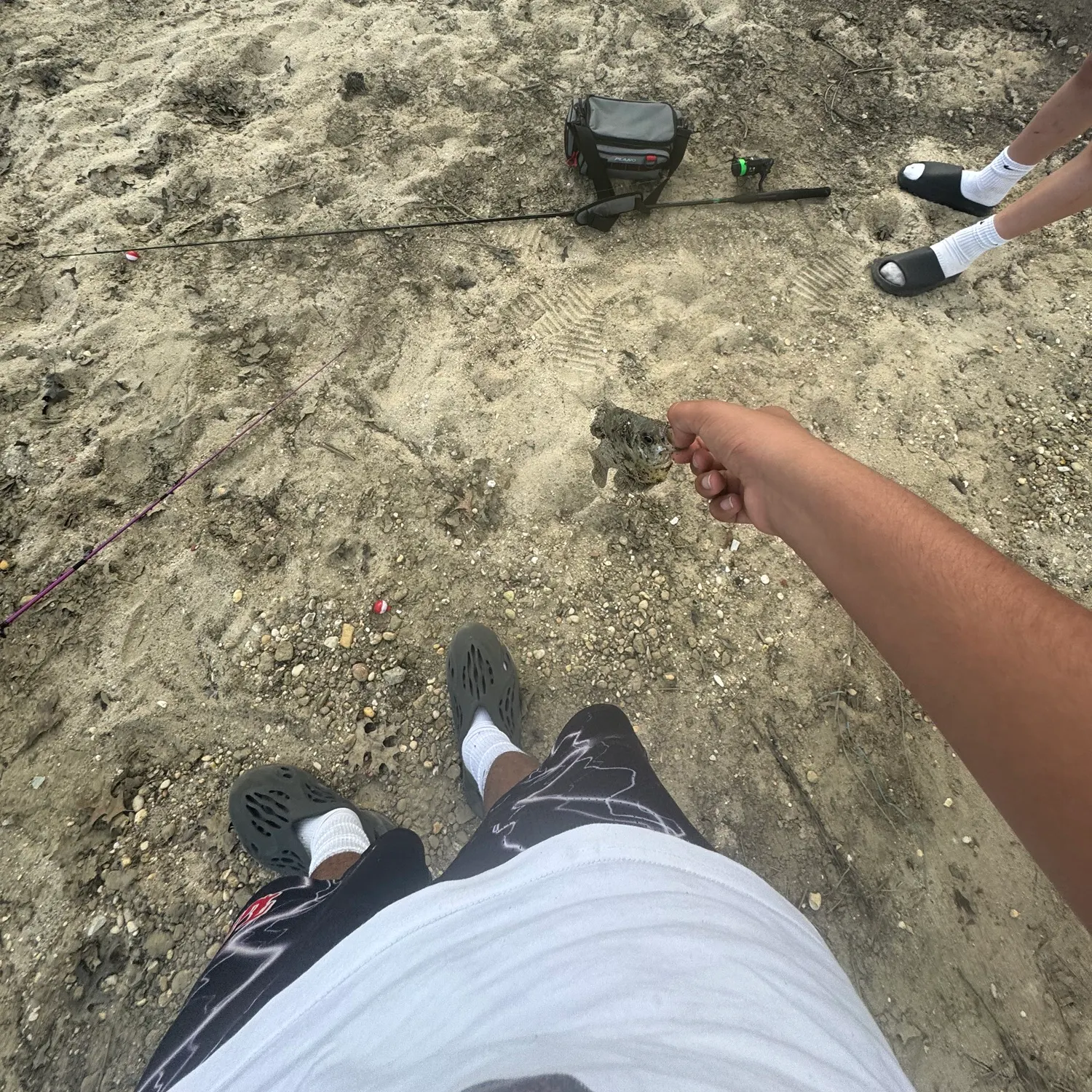 catch