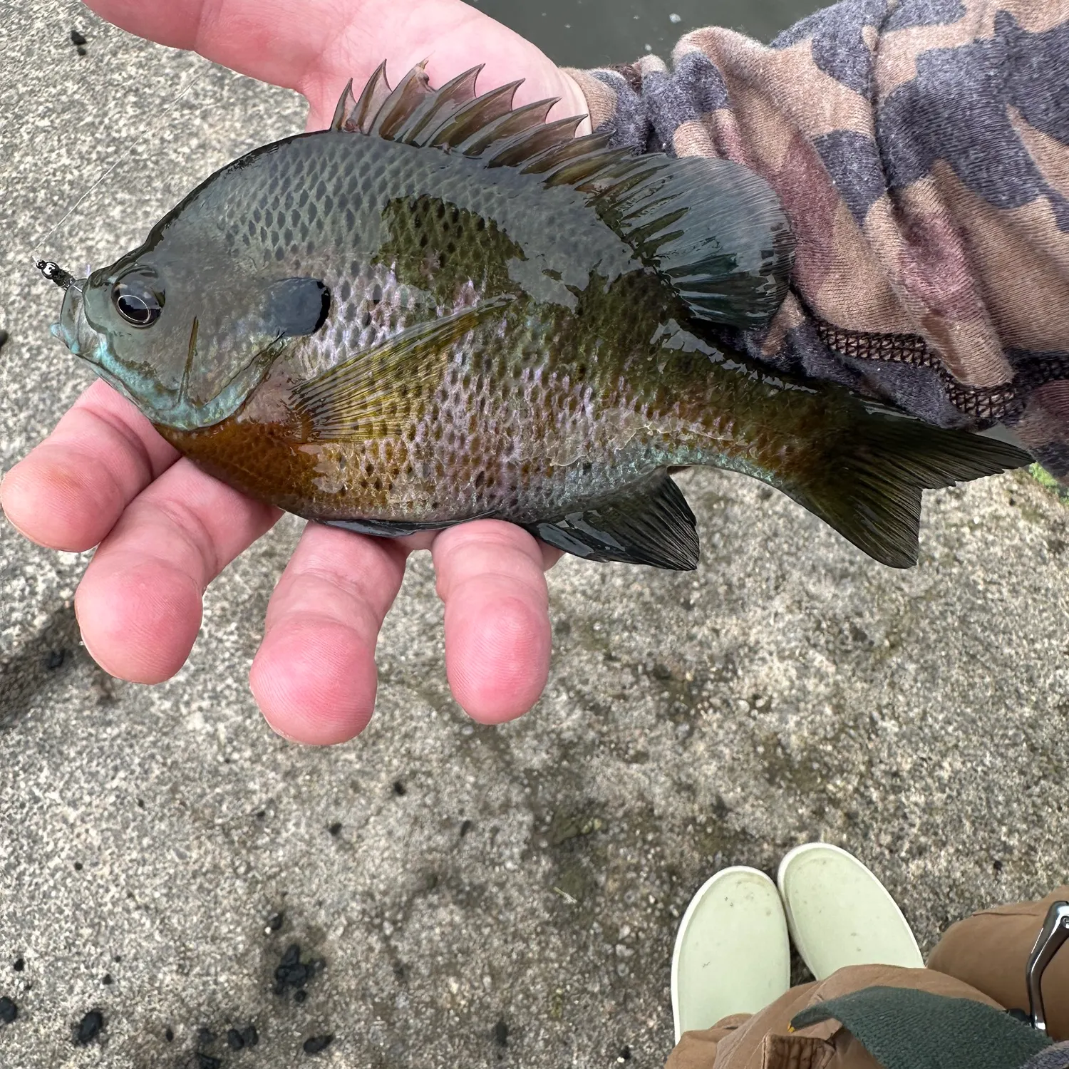 catch