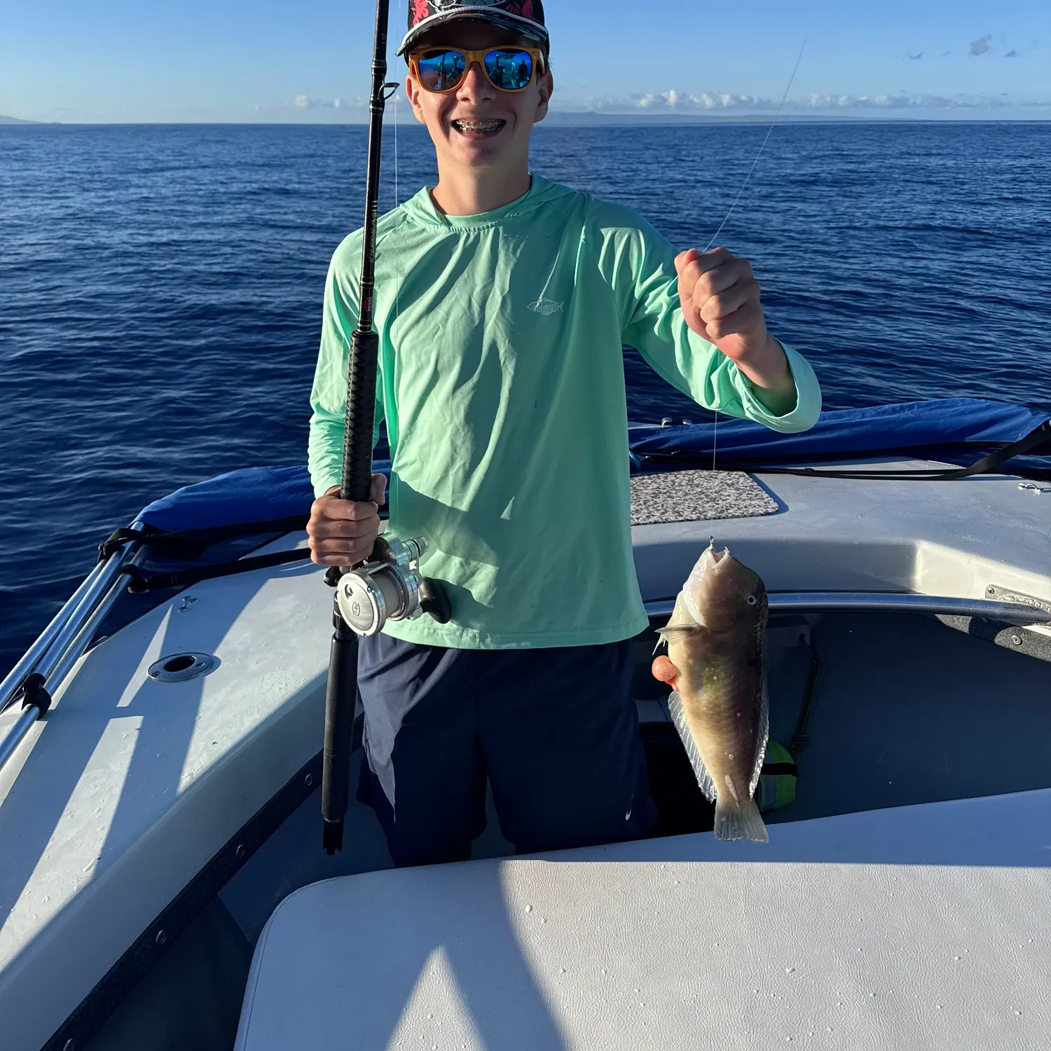 The most recent Peacock wrasse catches on Fishbrain