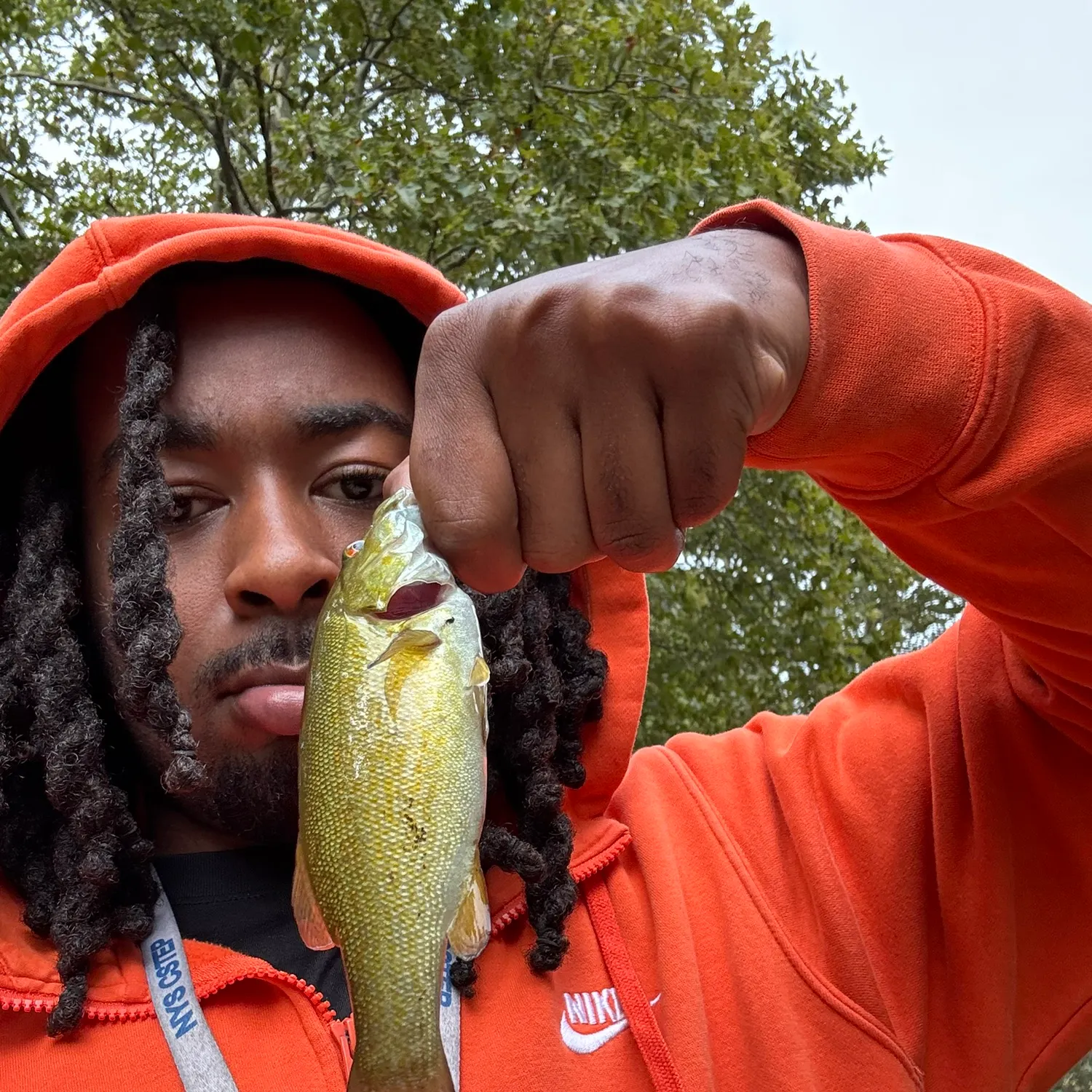 Smallmouth bass caught on Fishbrain