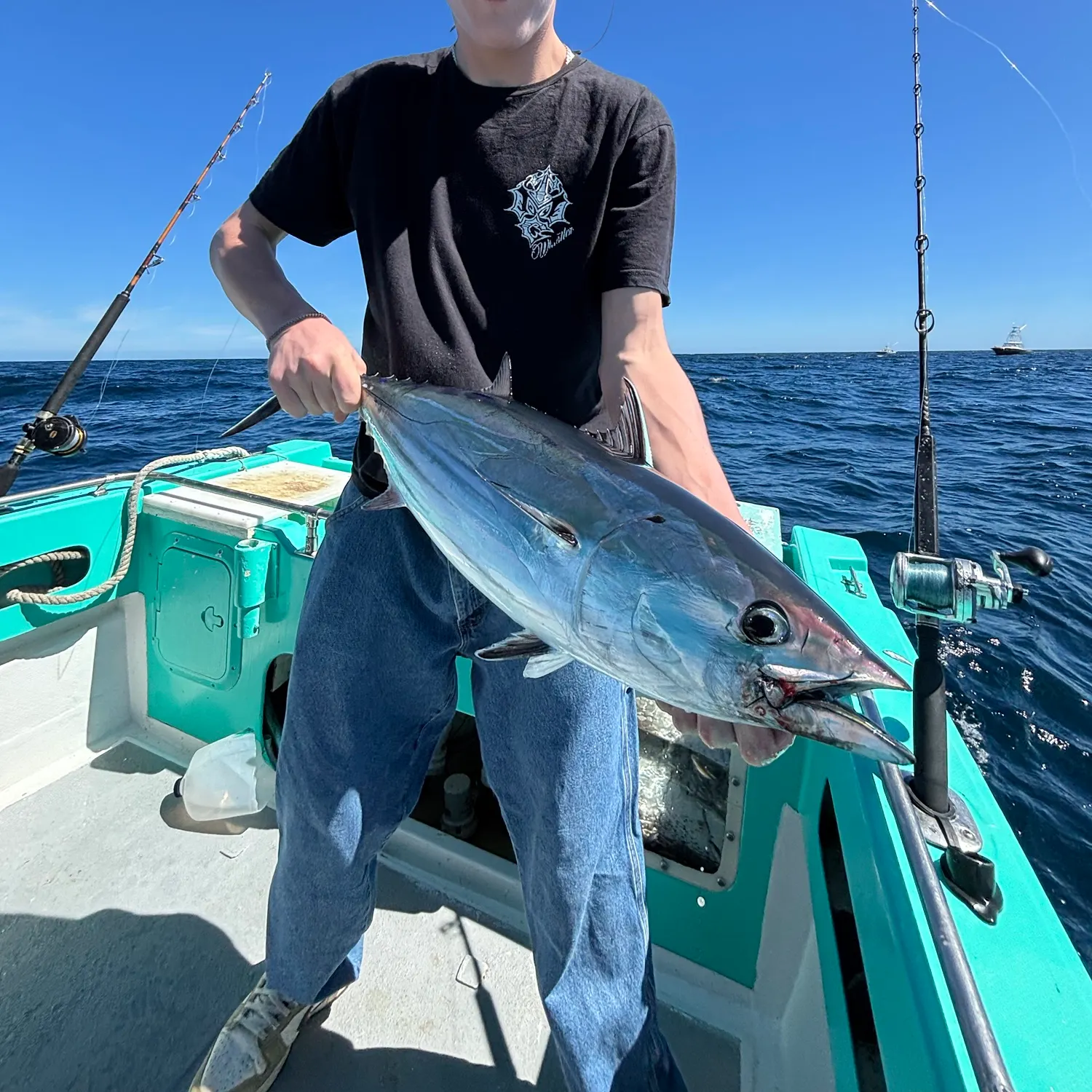 Skipjack tuna caught on Fishbrain