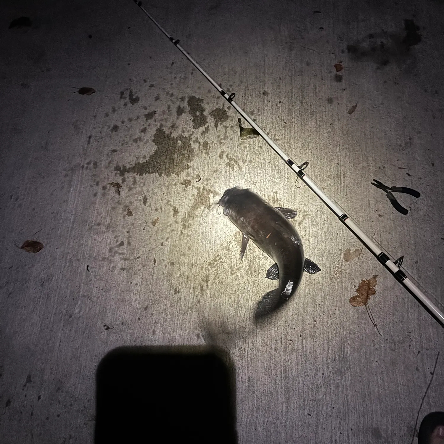 catch