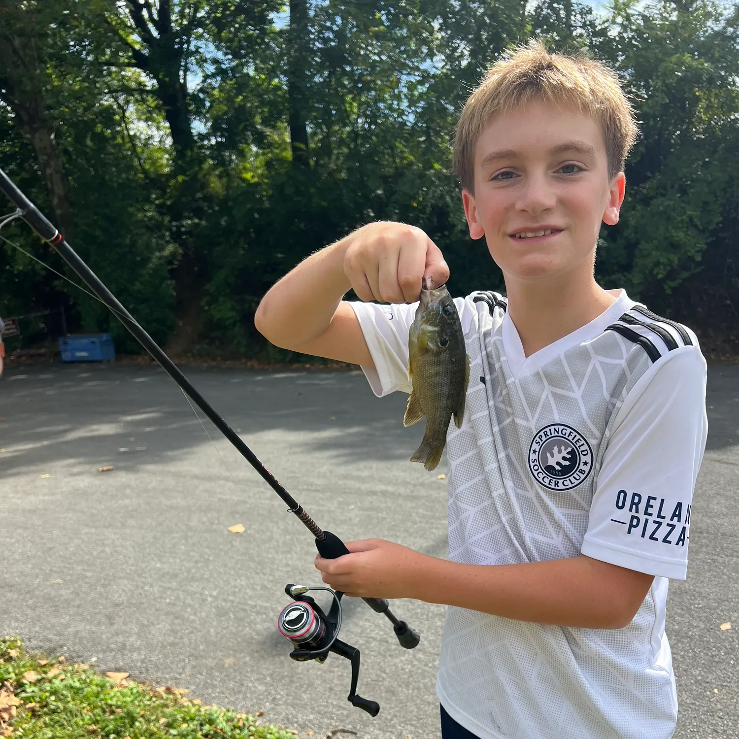 Green sunfish caught on Fishbrain