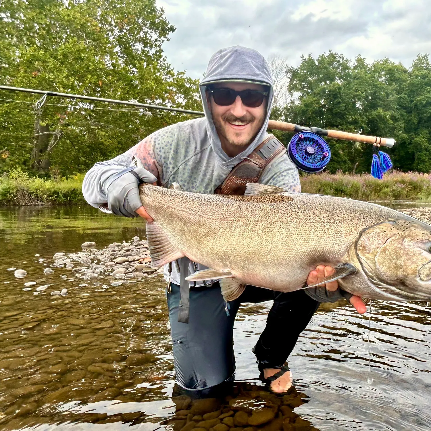 Chinook salmon caught on Fishbrain