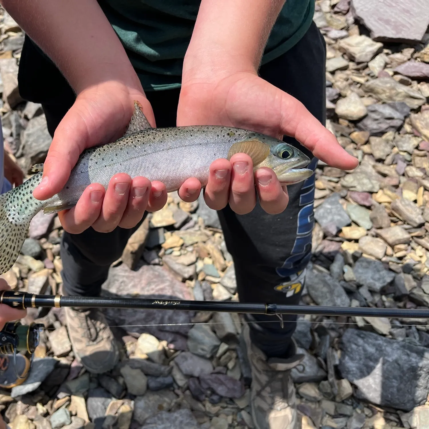 Cutthroat trout caught on Fishbrain