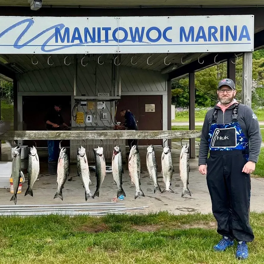 Coho salmon caught on Fishbrain