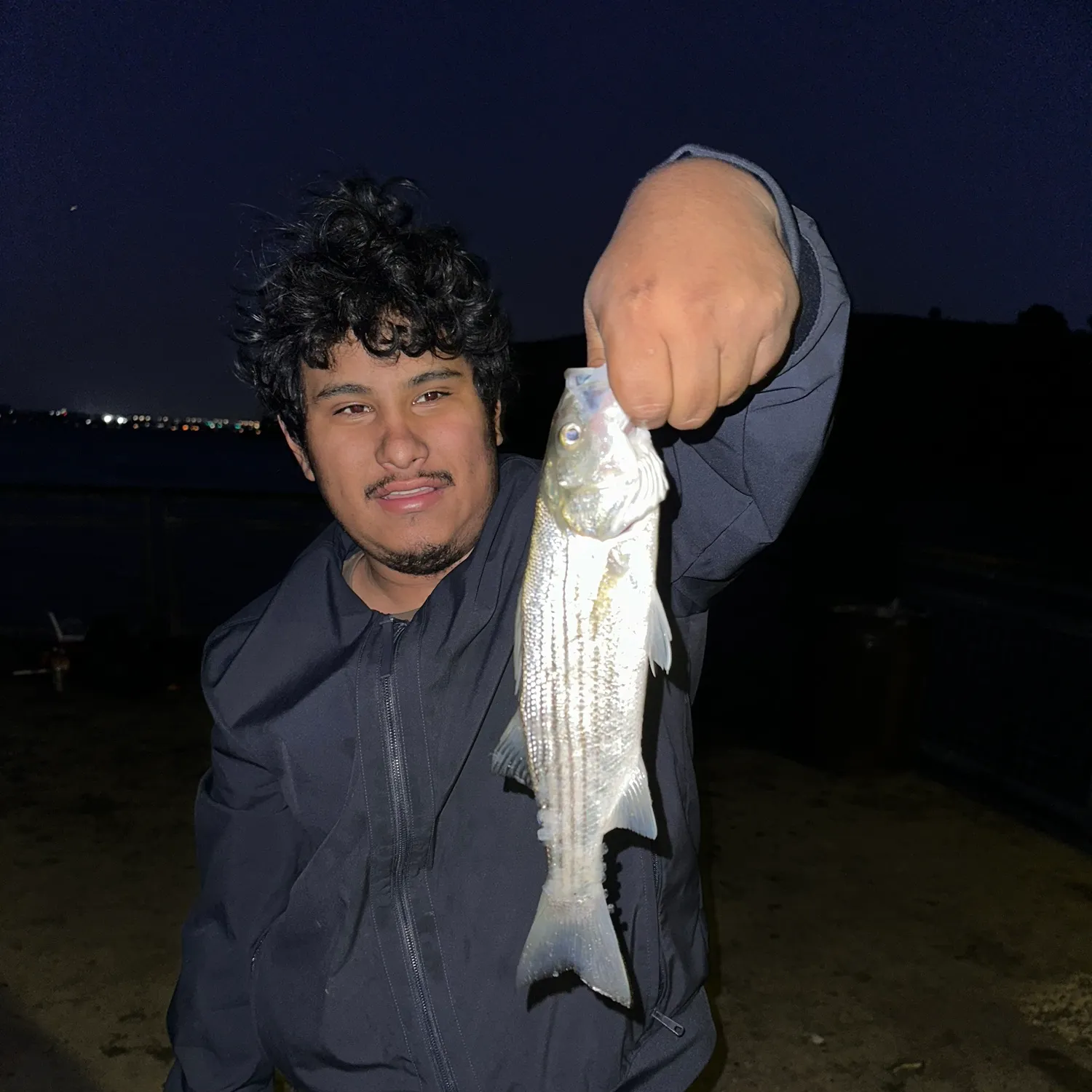 Striped bass caught on Fishbrain