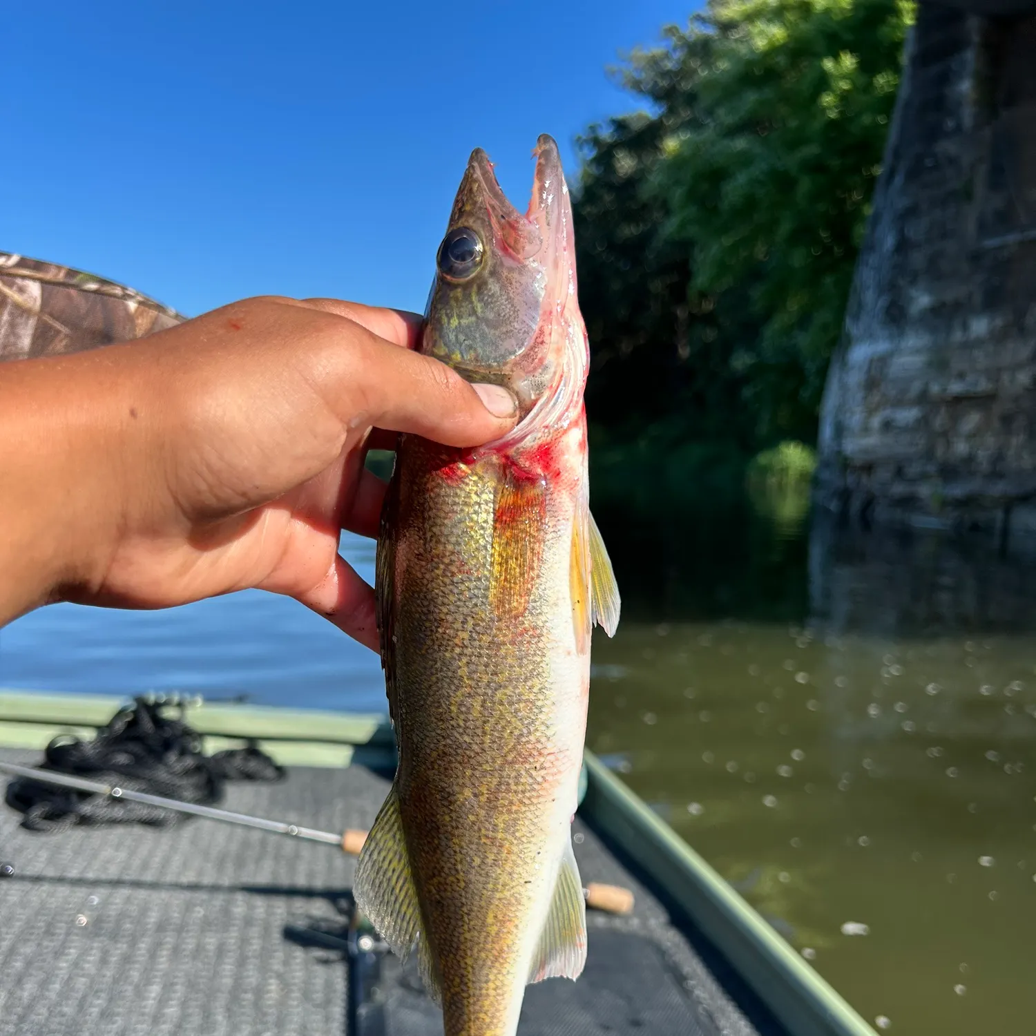 catch