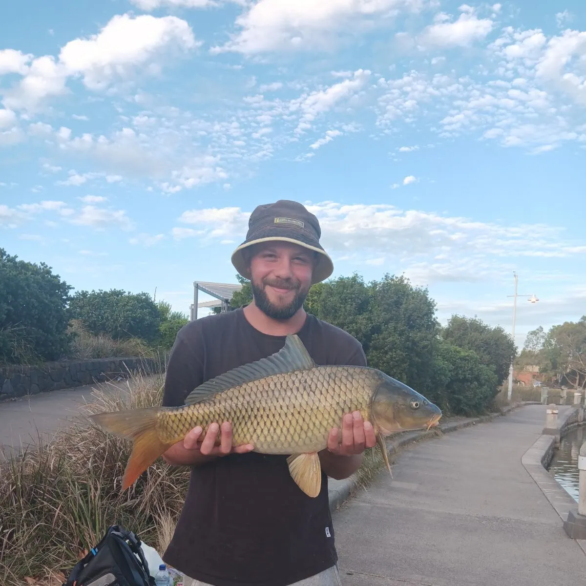 Common carp caught on Fishbrain