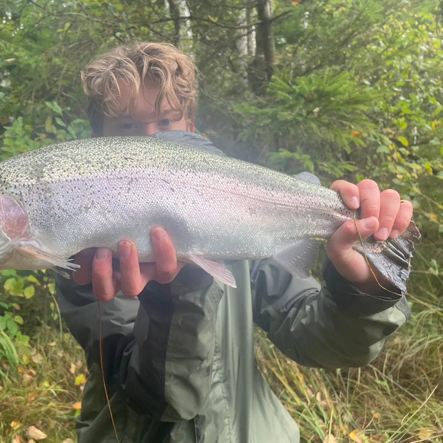 Rainbow trout caught on Fishbrain