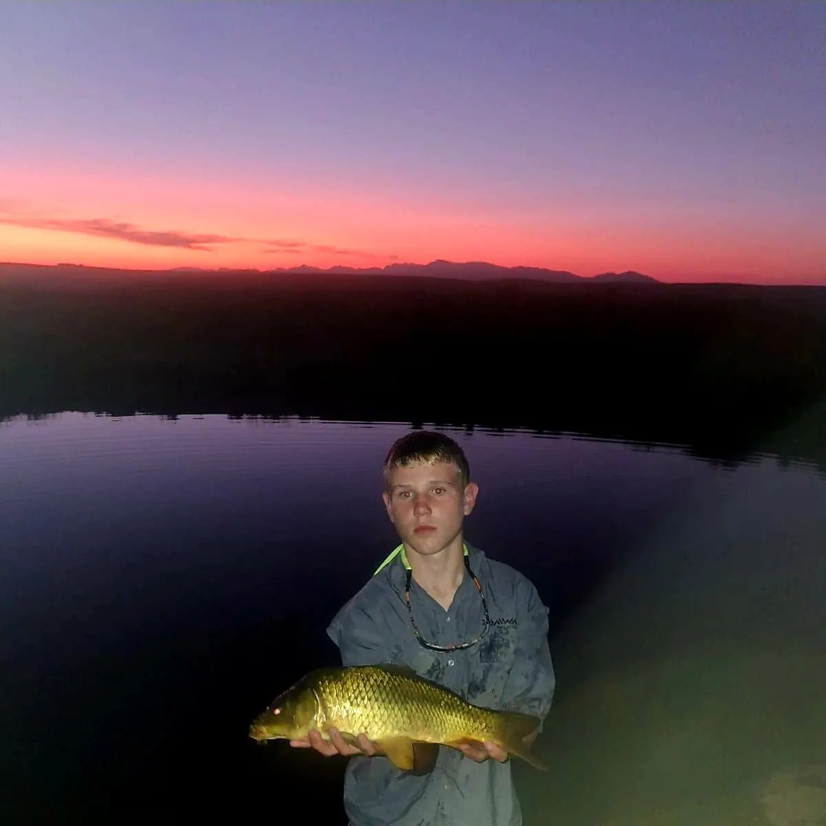 The most recent Common carp catches on Fishbrain