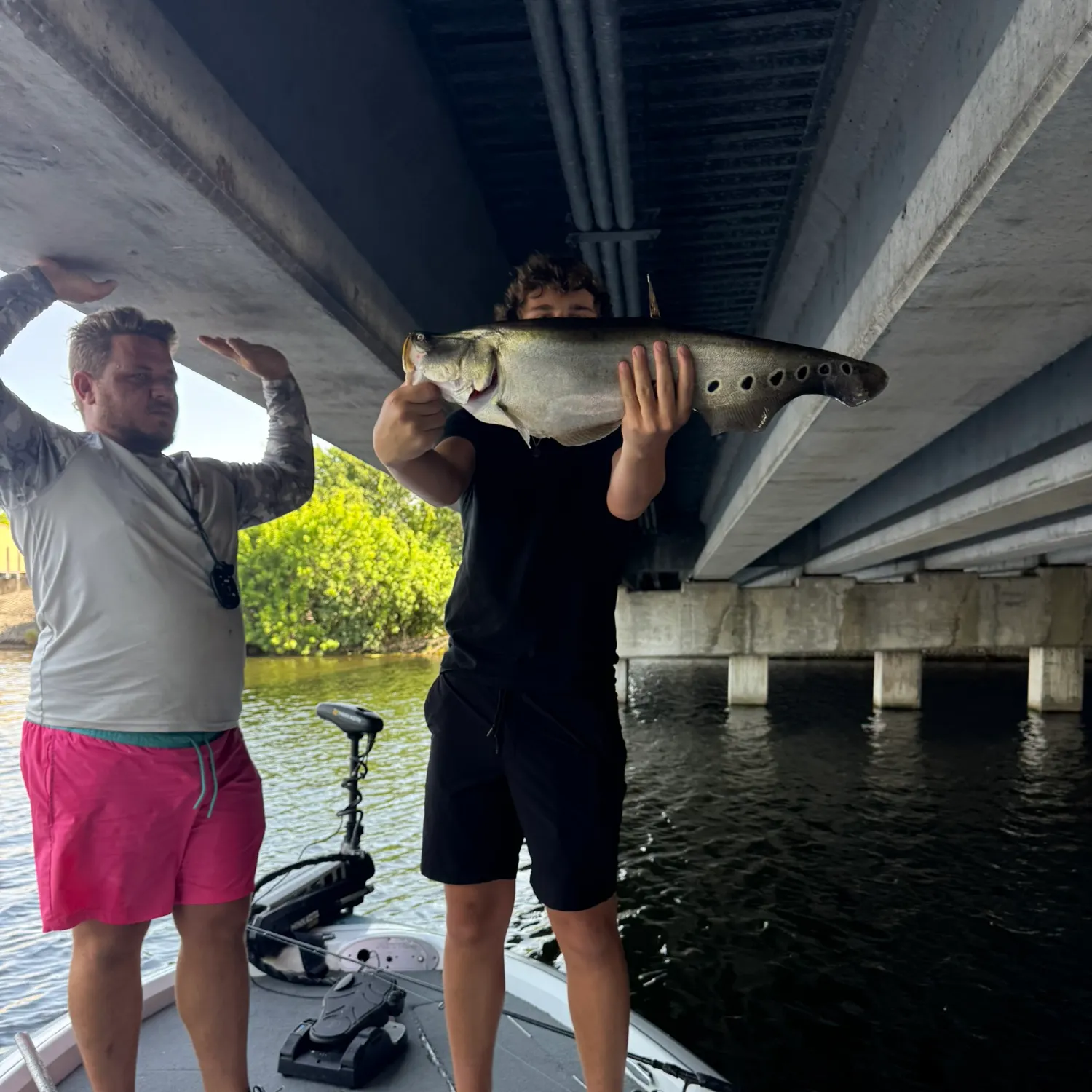 The most recent Clown knifefish catches on Fishbrain