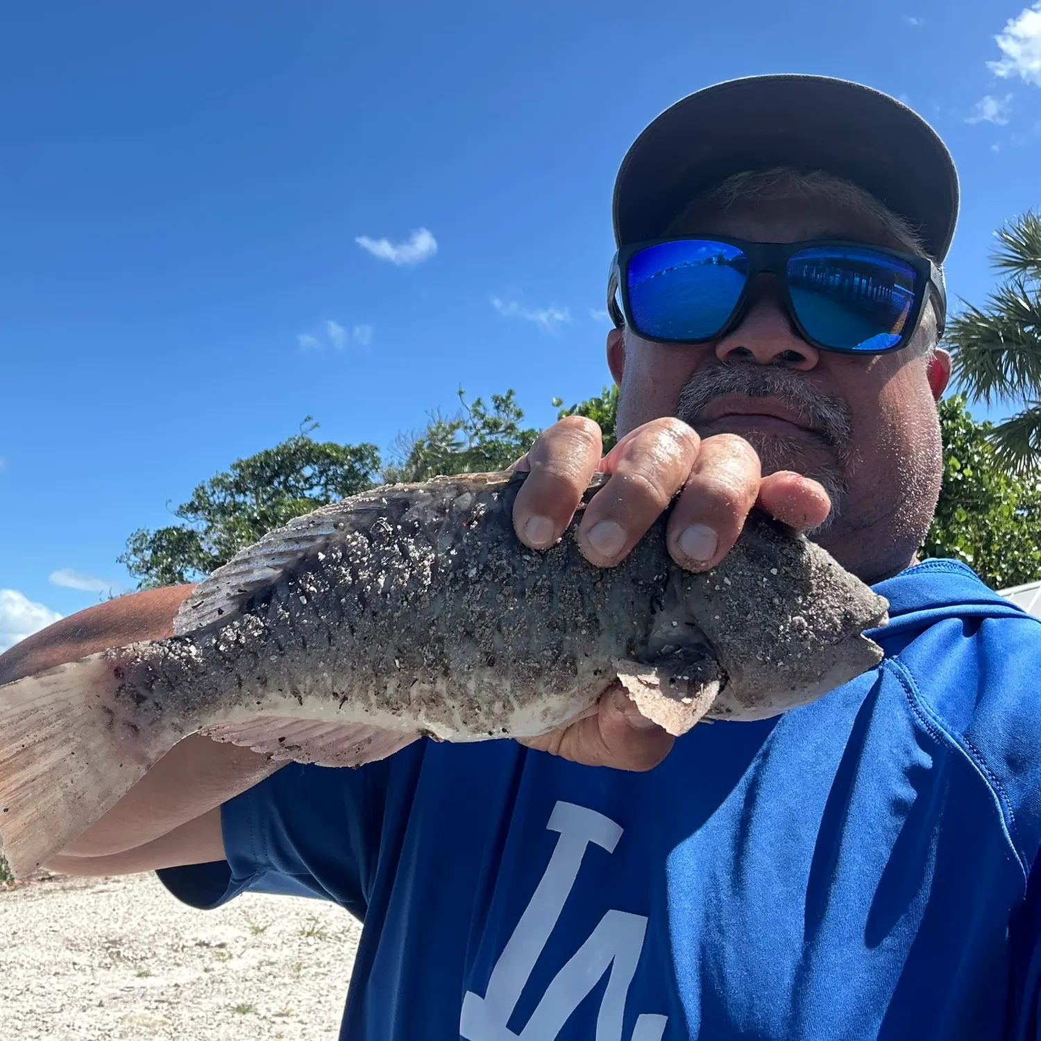 The most recent Common parrotfish catches on Fishbrain