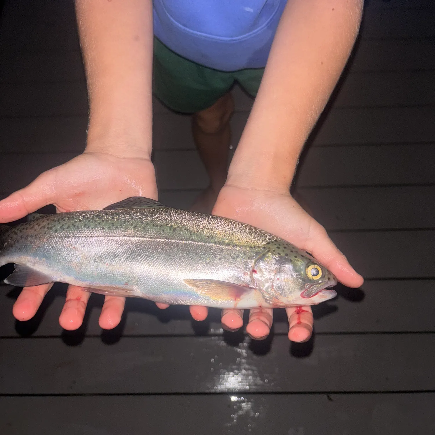 Kokanee salmon caught on Fishbrain