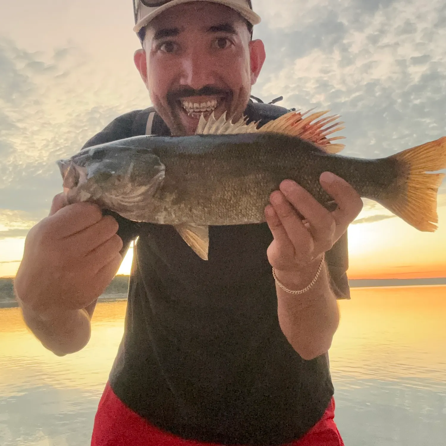 Smallmouth bass caught on Fishbrain