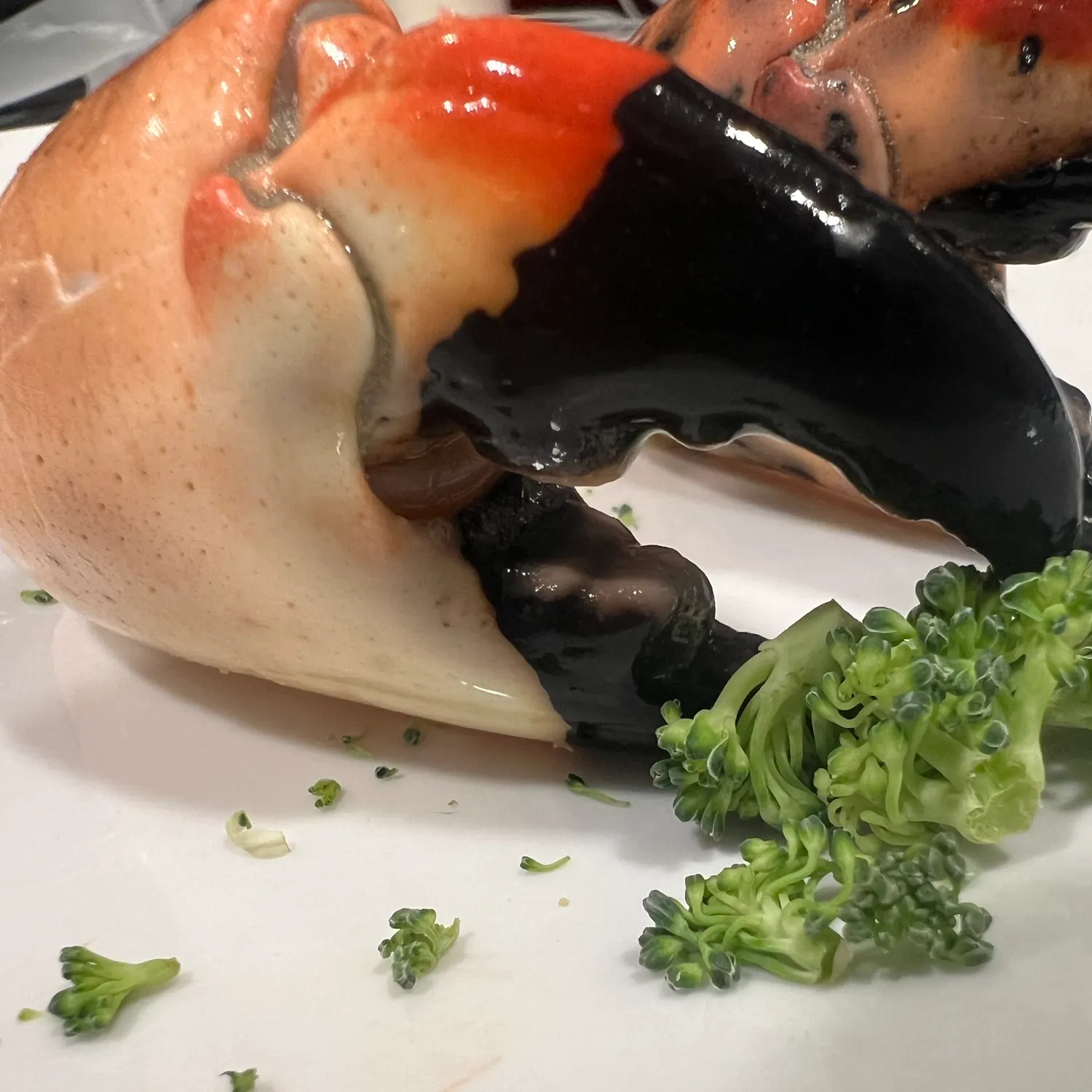 The most recent Florida stone crab catches on Fishbrain