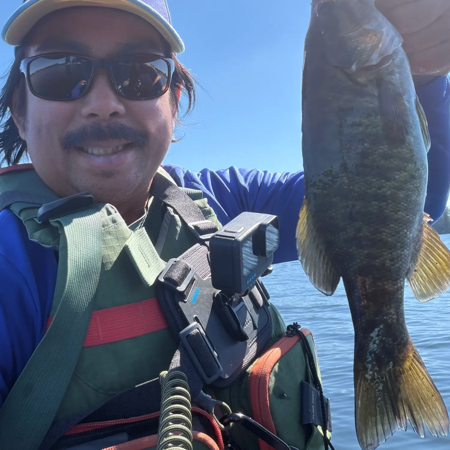Smallmouth bass caught on Fishbrain