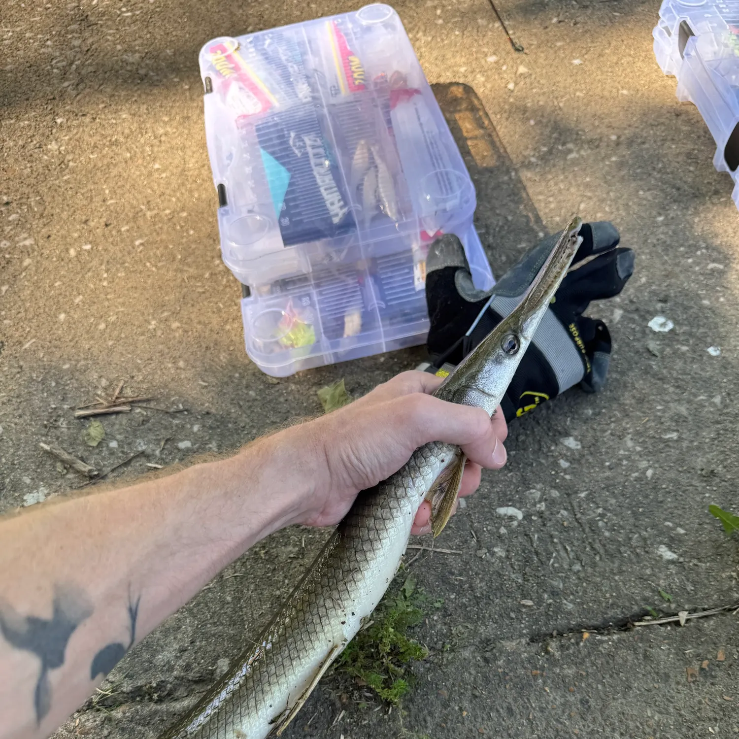 catch