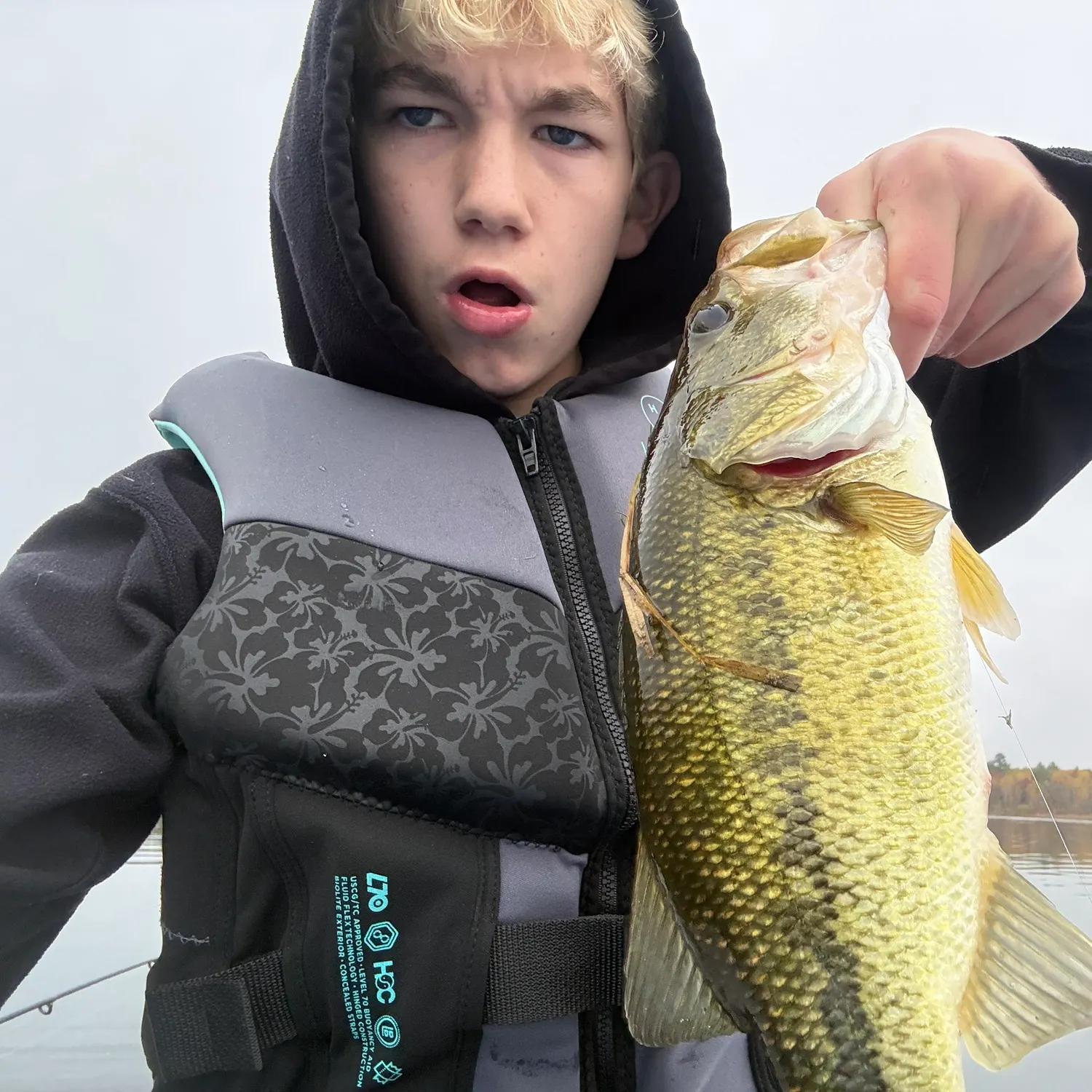 Largemouth bass caught on Fishbrain