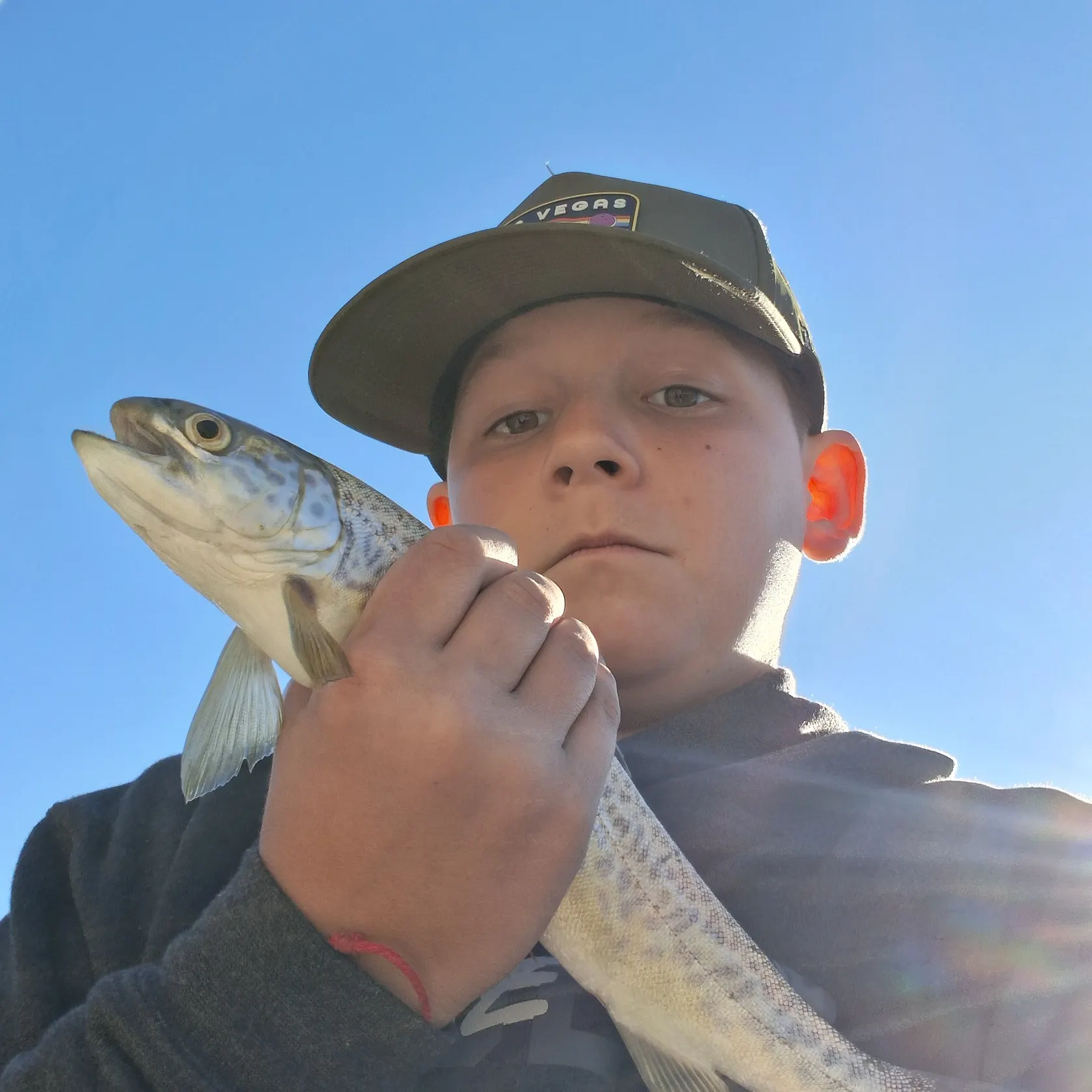 Tiger trout caught on Fishbrain