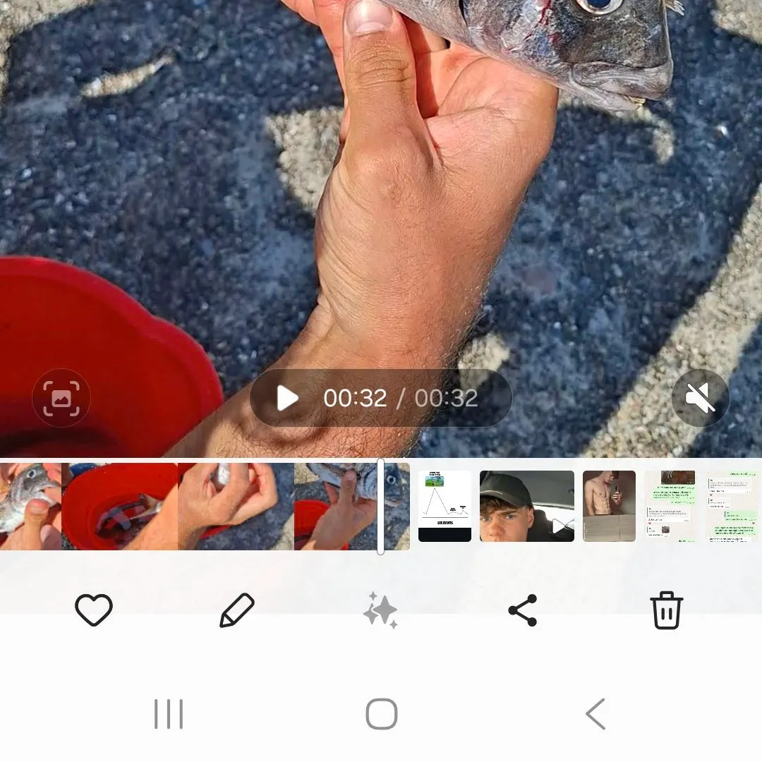 recently logged catches