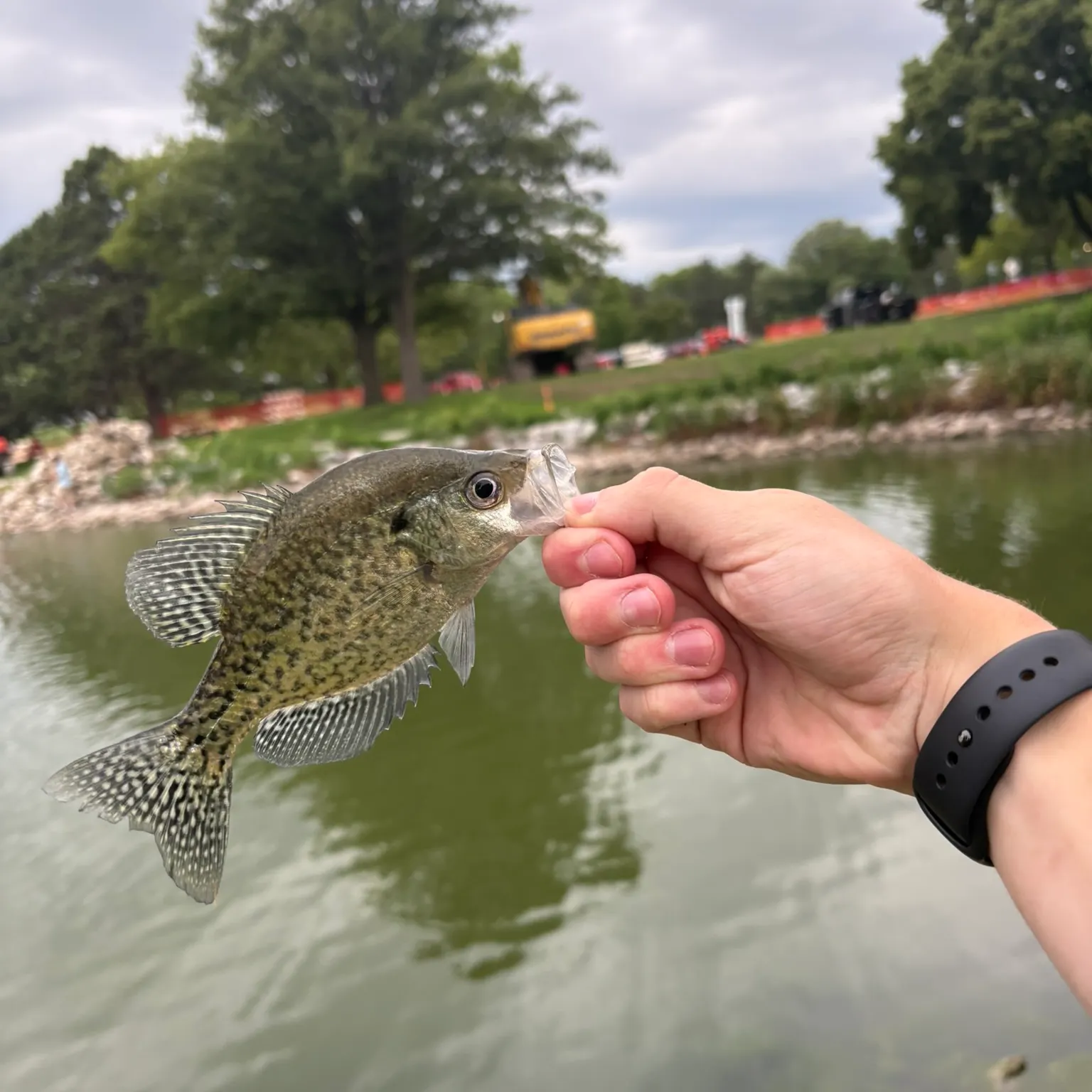 catch
