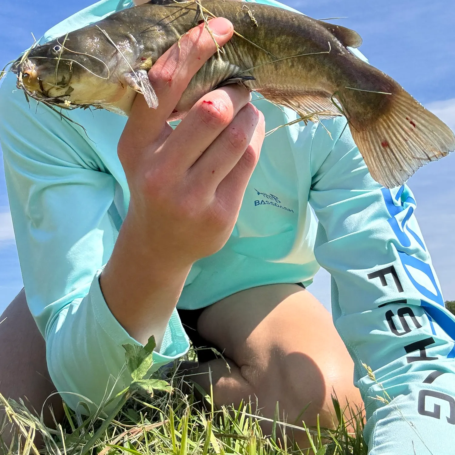 The most recent Yellow bullhead catches on Fishbrain