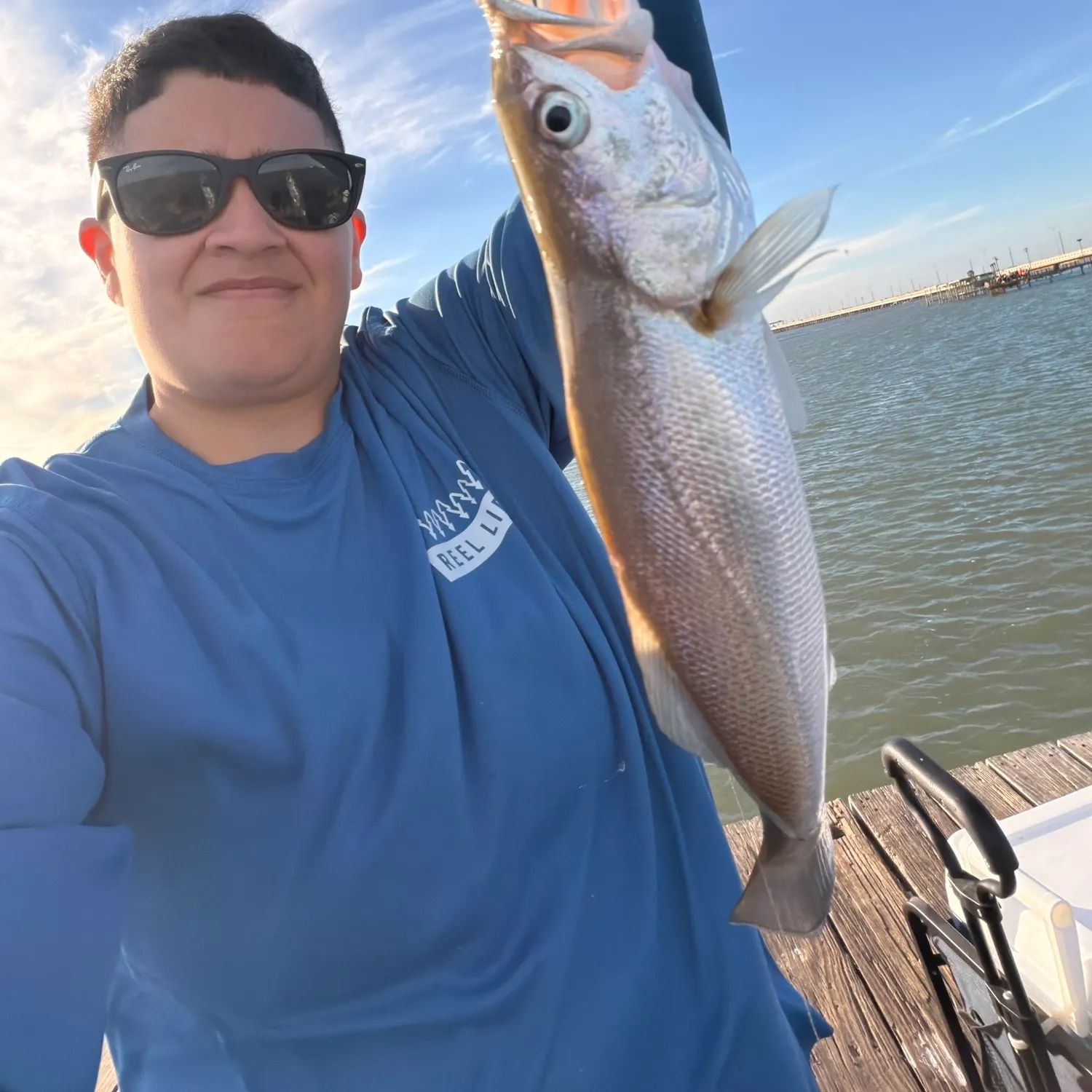 The most recent Sand seatrout catches on Fishbrain