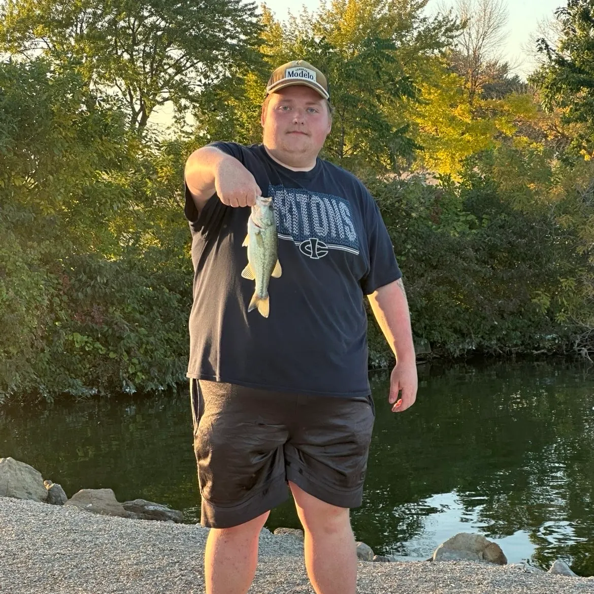 Largemouth bass caught on Fishbrain