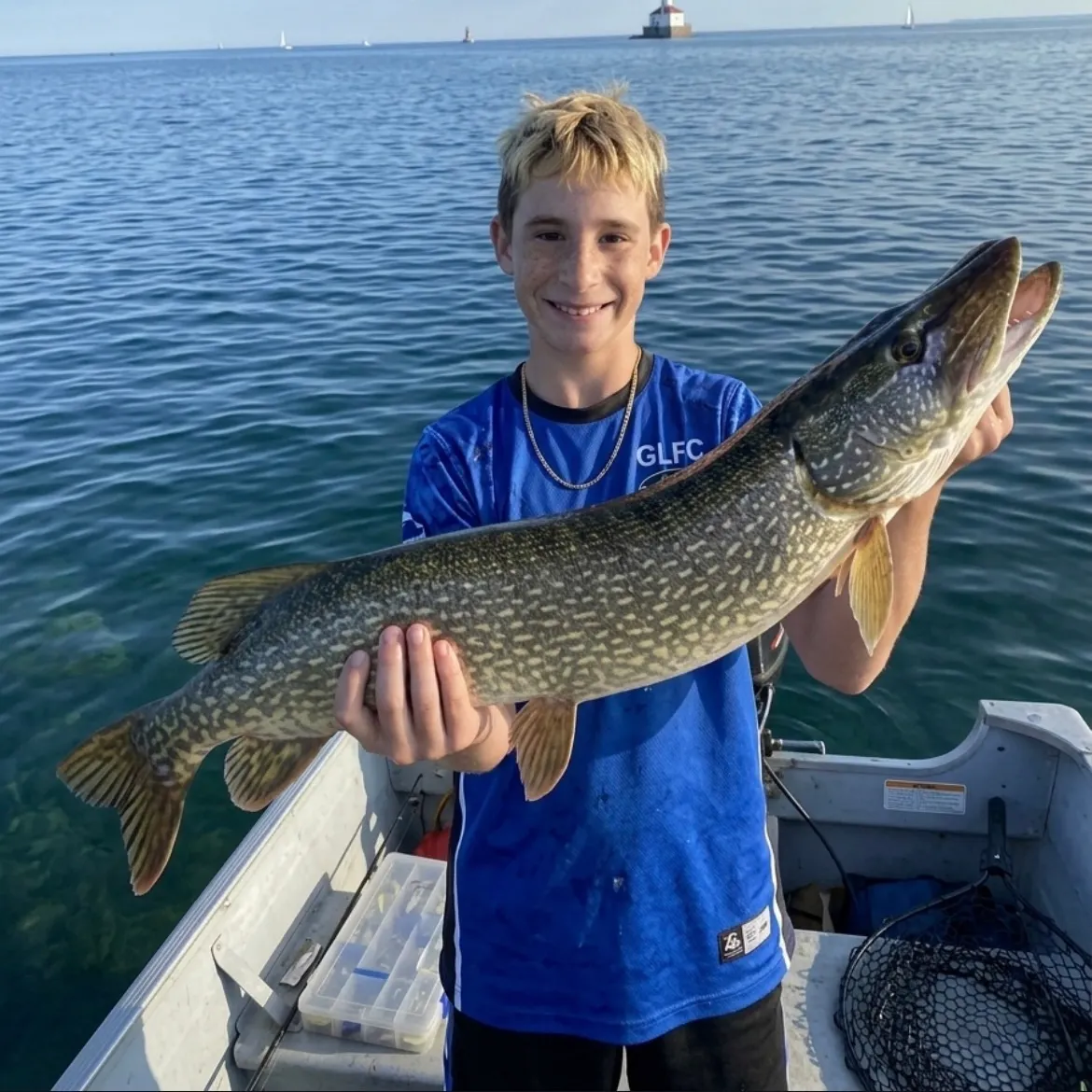 Northern pike caught on Fishbrain