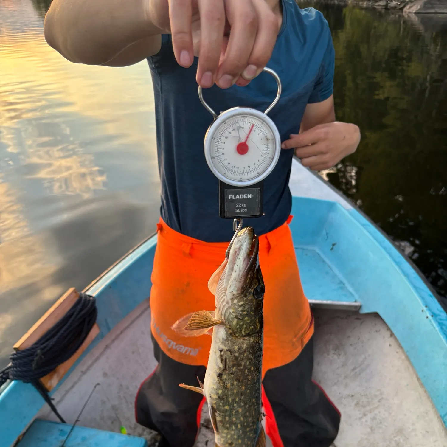 Northern pike caught on Fishbrain
