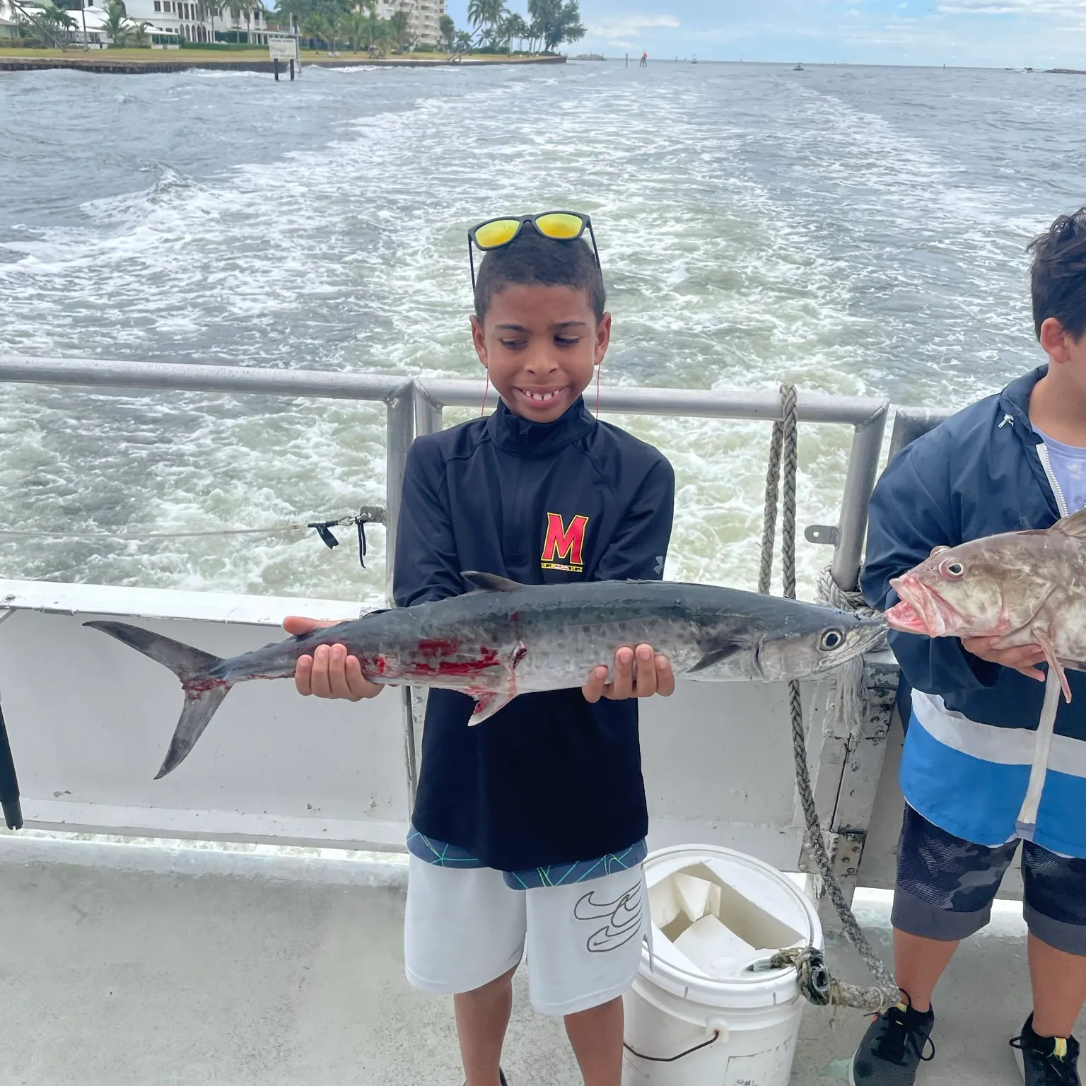 The most recent Spanish mackerel catches on Fishbrain