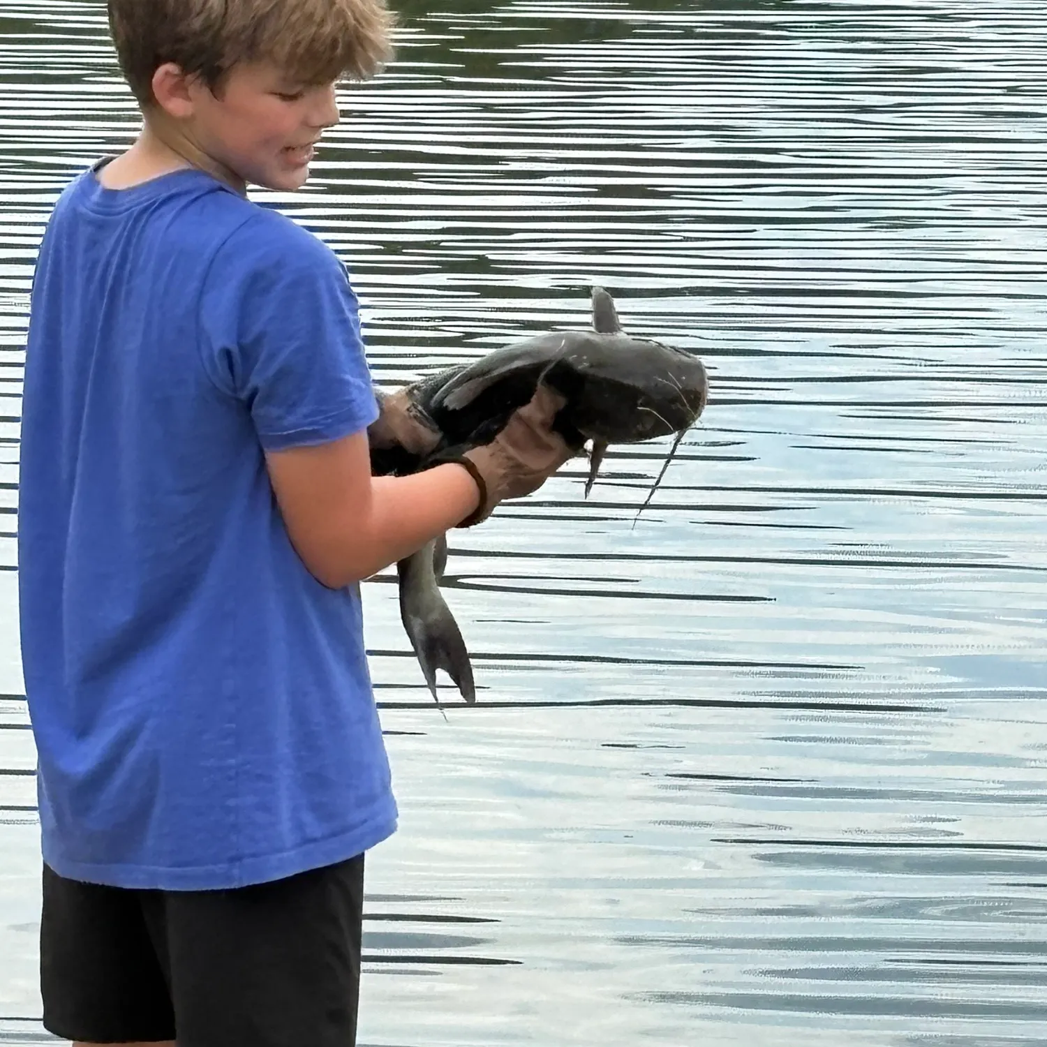 Channel catfish caught on Fishbrain