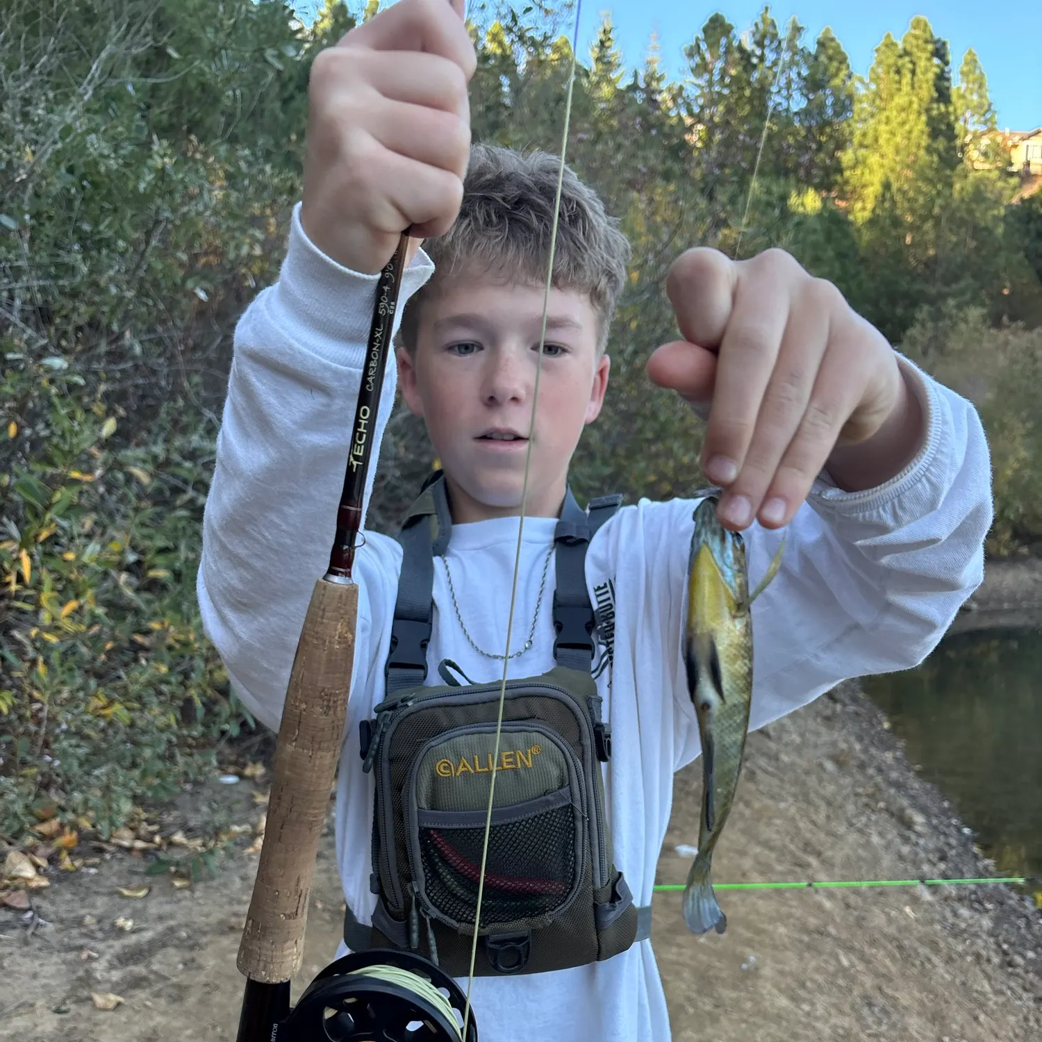 Bluegill caught on Fishbrain