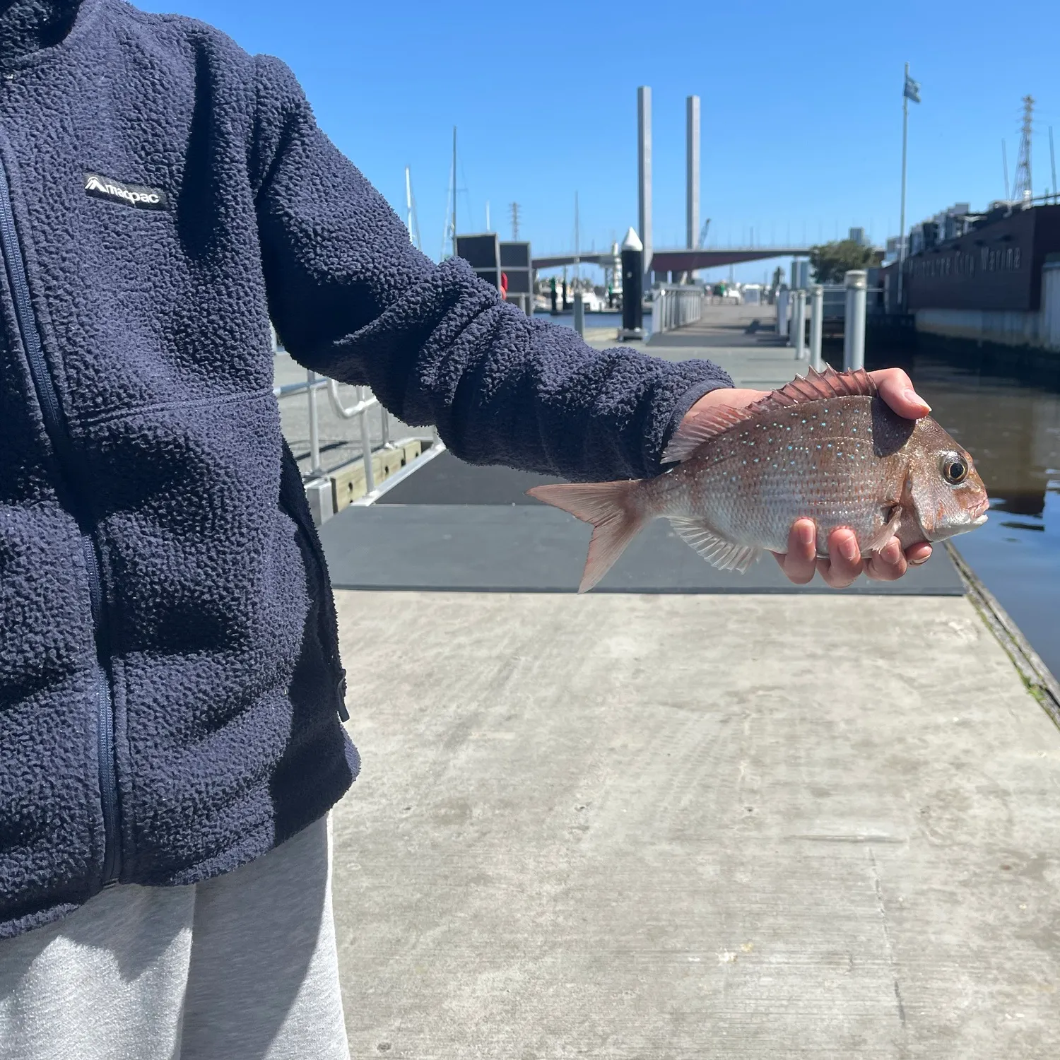 catch
