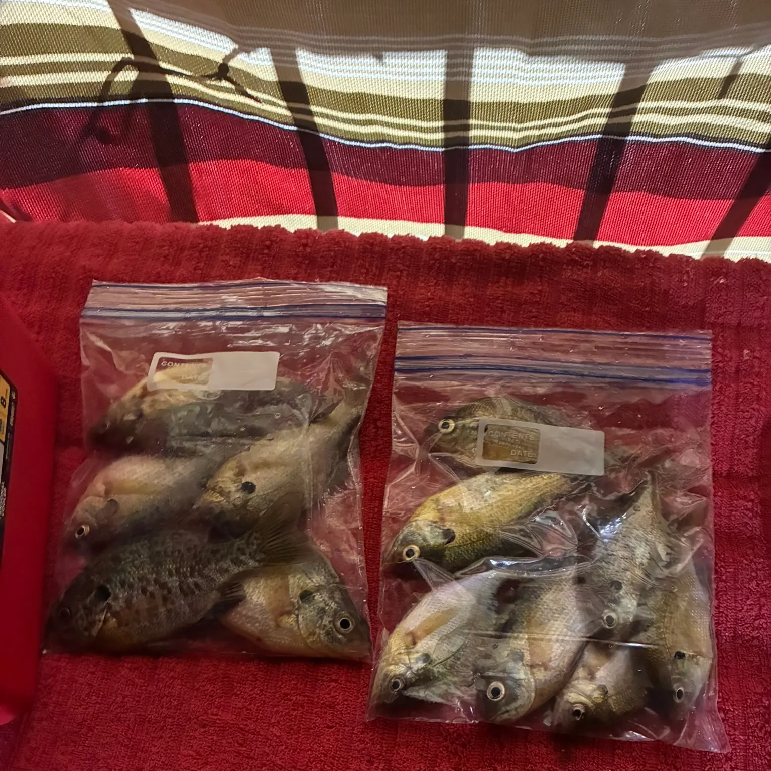 recently logged catches