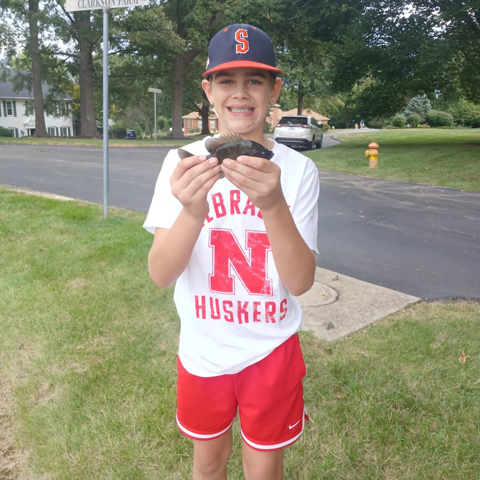 Bluegill caught on Fishbrain