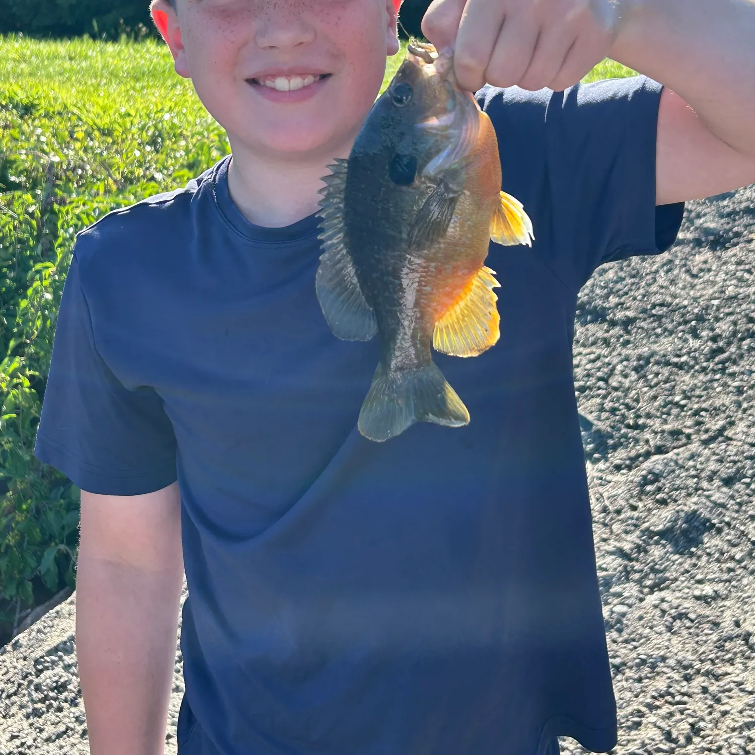 The most recent Green sunfish catches on Fishbrain