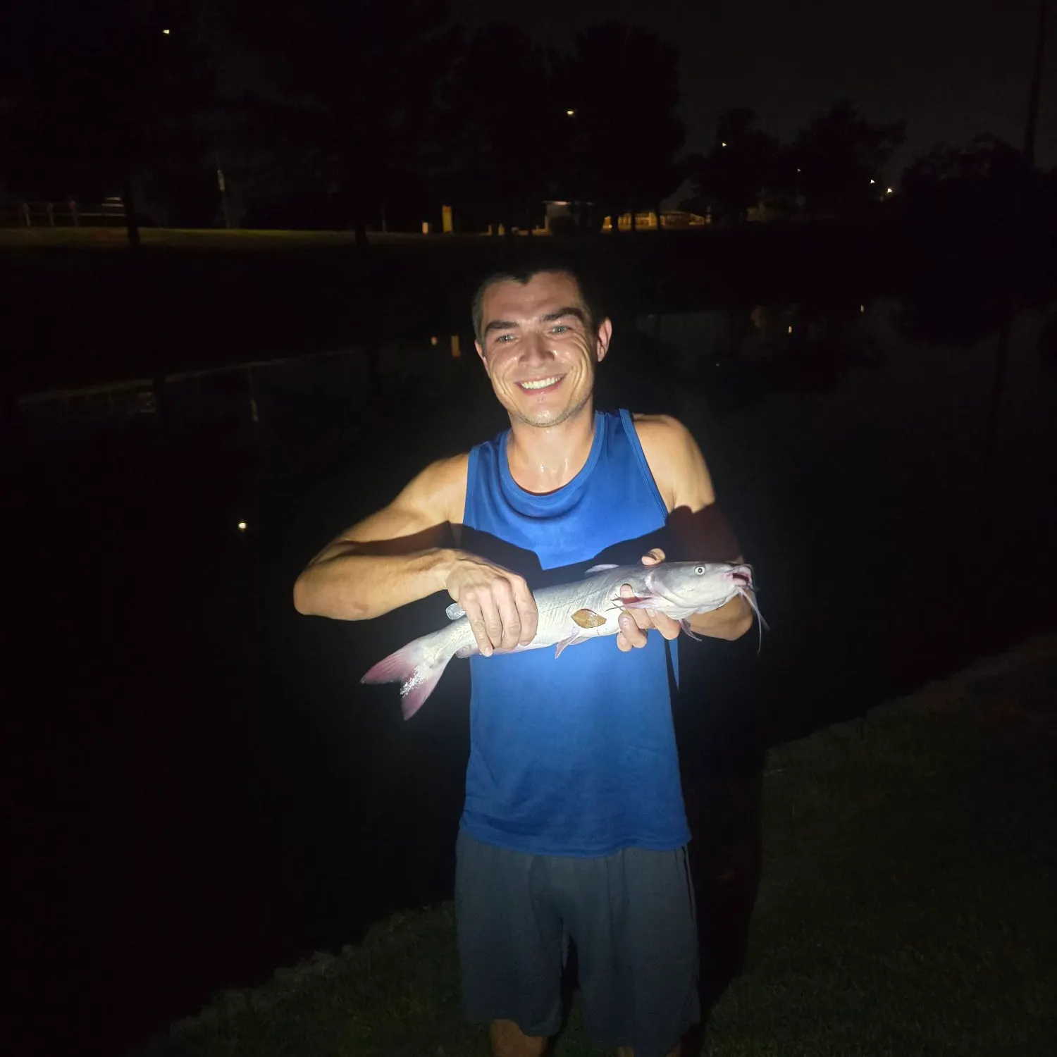 Channel catfish caught on Fishbrain
