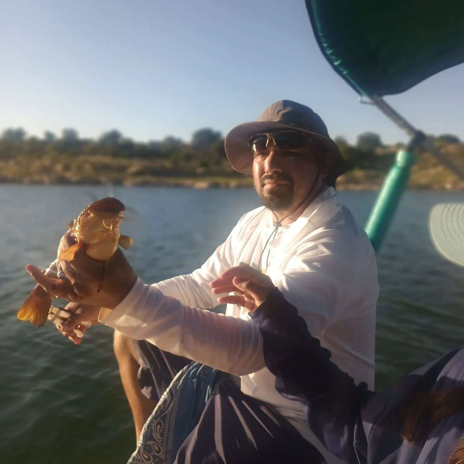 Yellow bullhead caught on Fishbrain