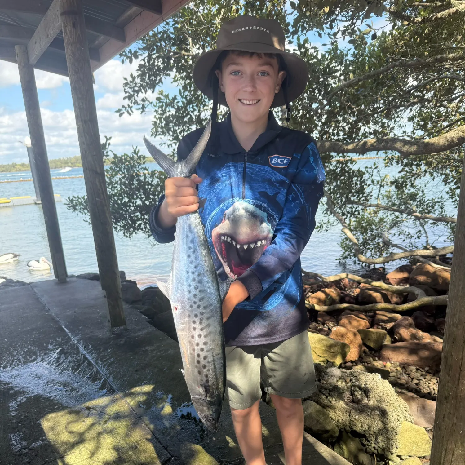 The most recent Australian spotted mackerel catches on Fishbrain