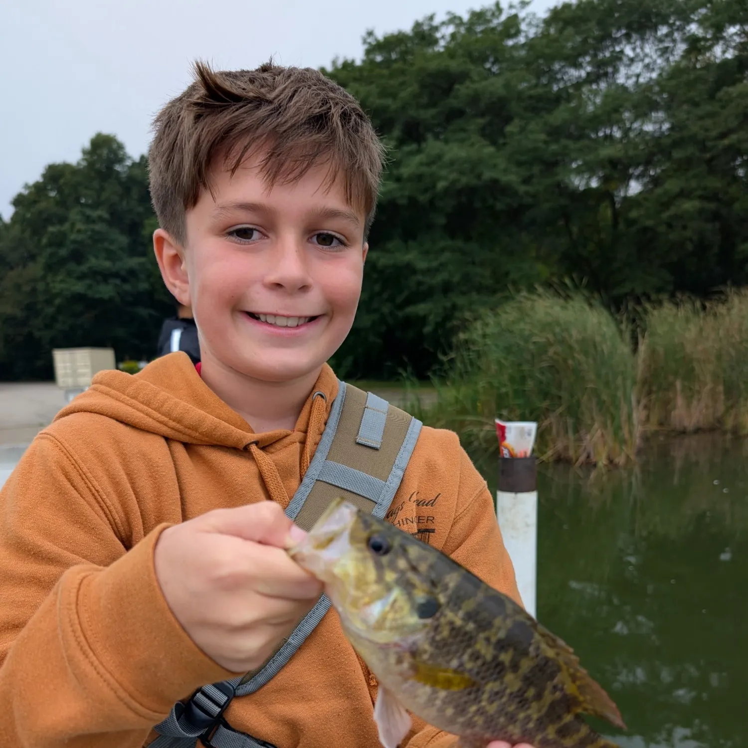 Warmouth caught on Fishbrain