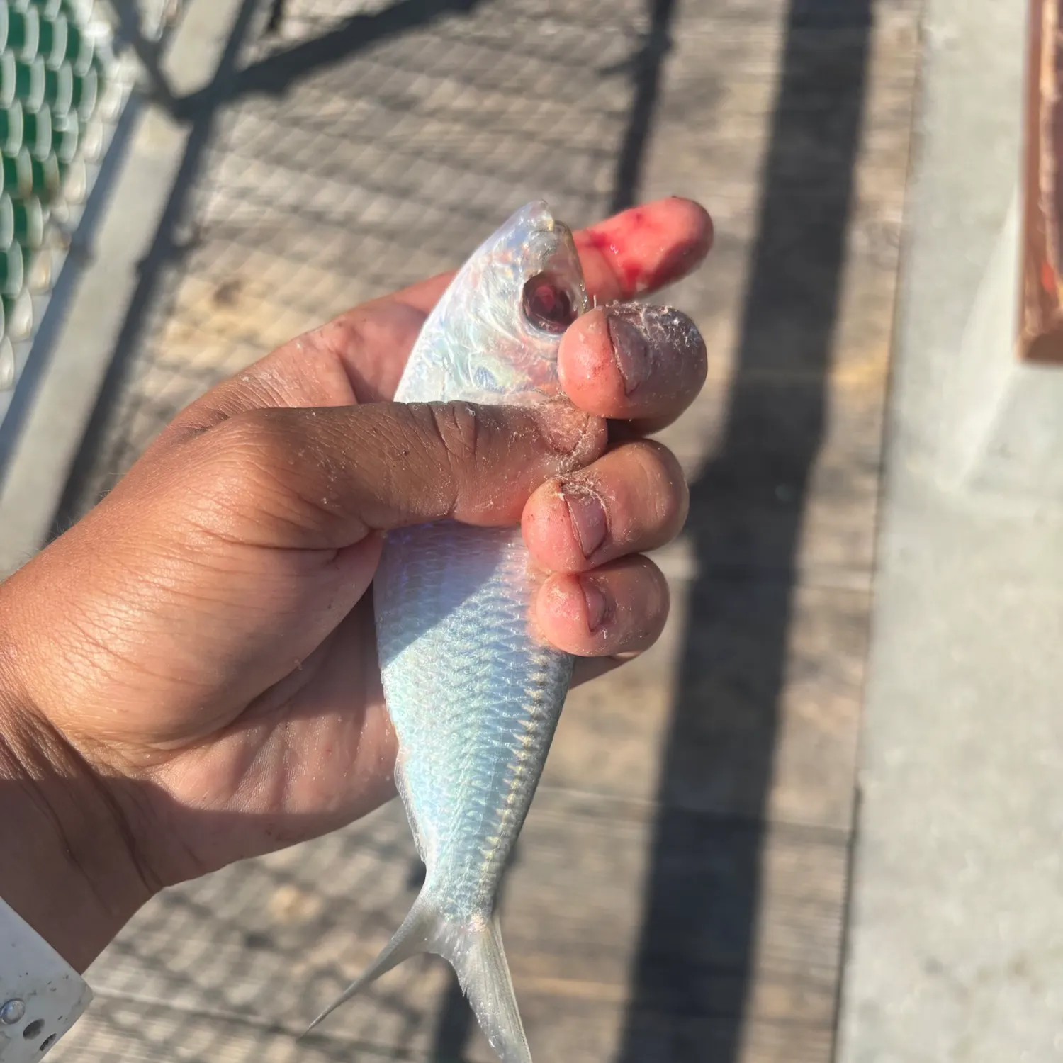 catch