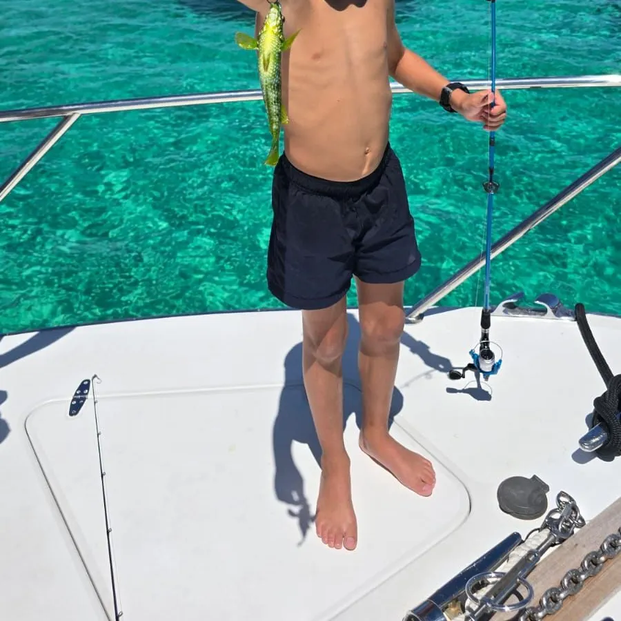 The most recent Ballan wrasse catches on Fishbrain