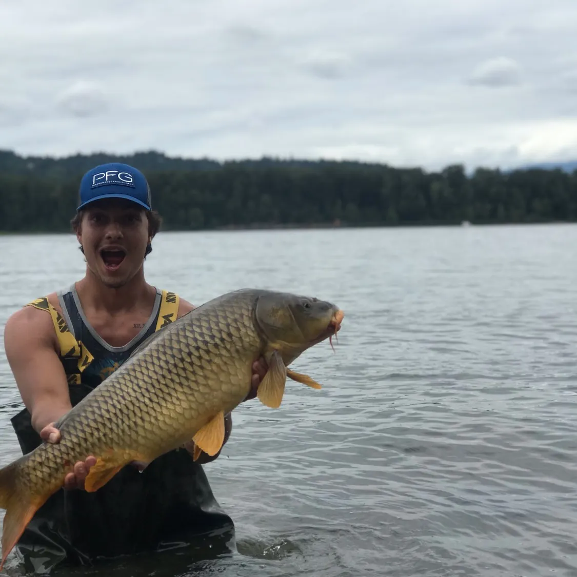 Common carp caught on Fishbrain